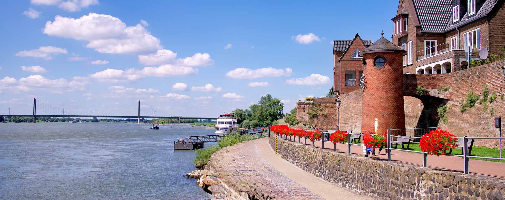 Panorama Rees